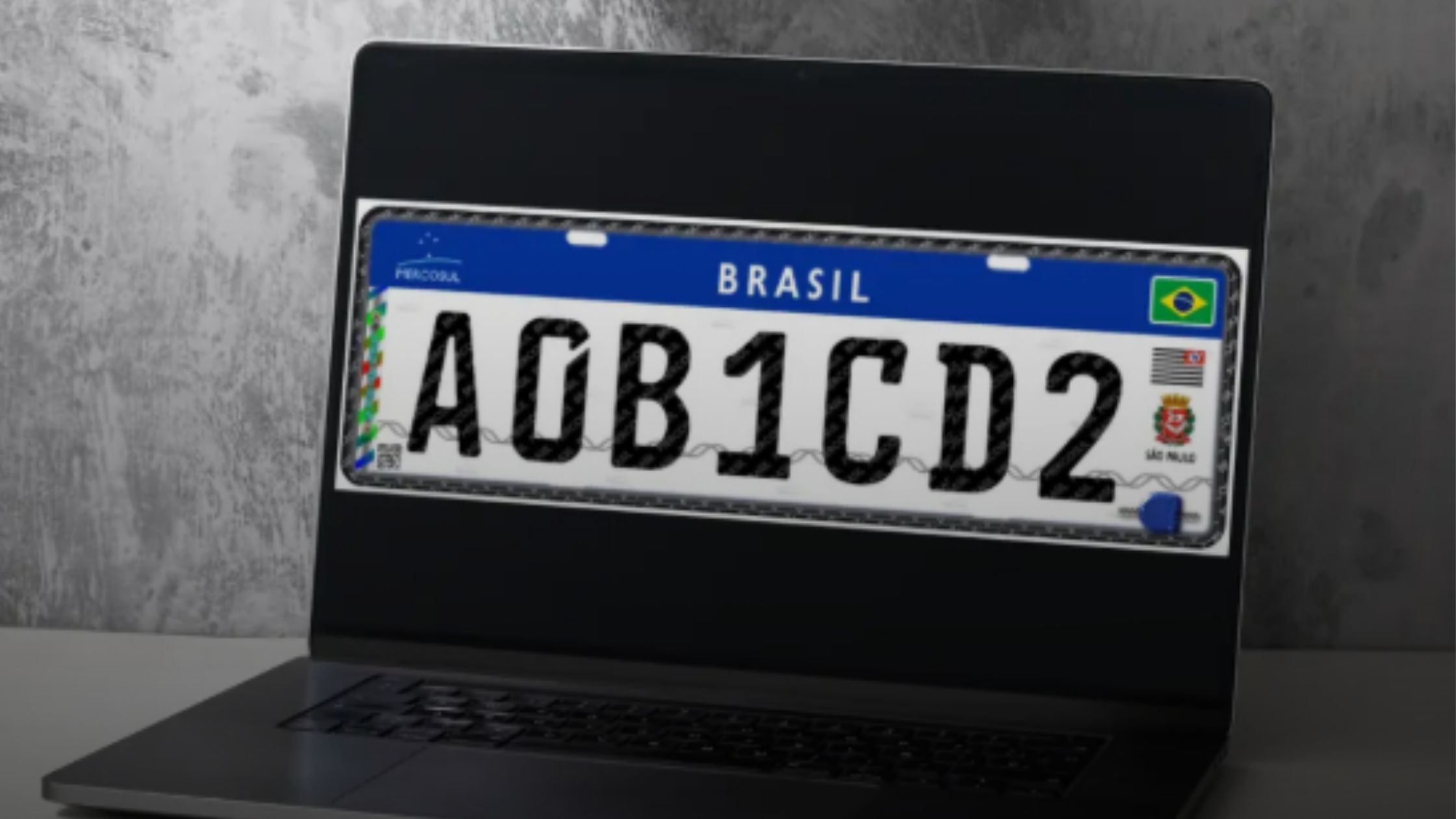Consultar Placa de Veículo